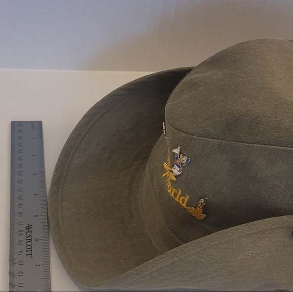 Disney Other - Walt Disney World Hat with Pins